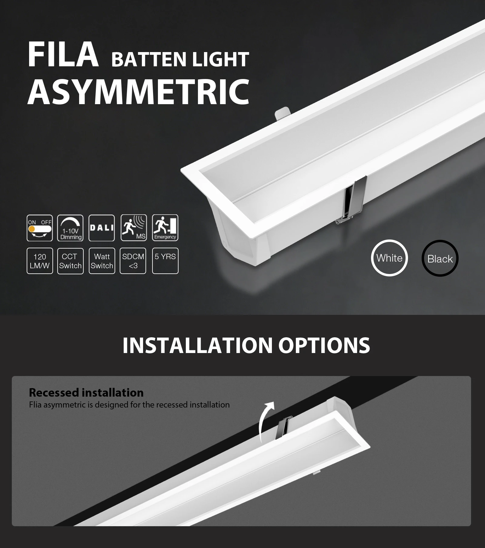 Flia-asymmetric 01